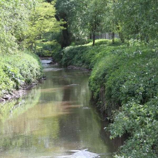 Itinéraire des Berges de la Rosselle