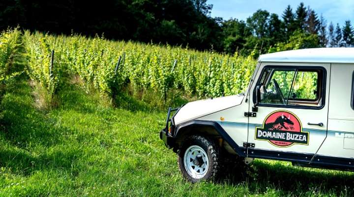 Domaine Buzéa G-C