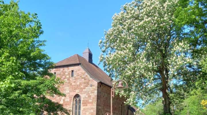 Visite guidée de la Chapelle Sainte-Croix
