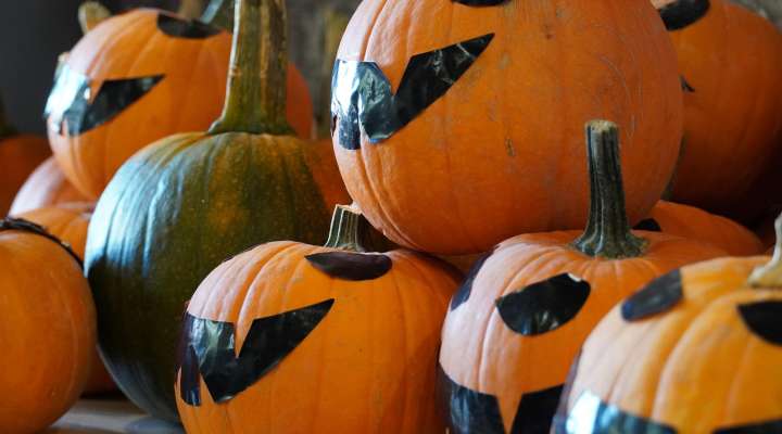 Concours de citrouilles