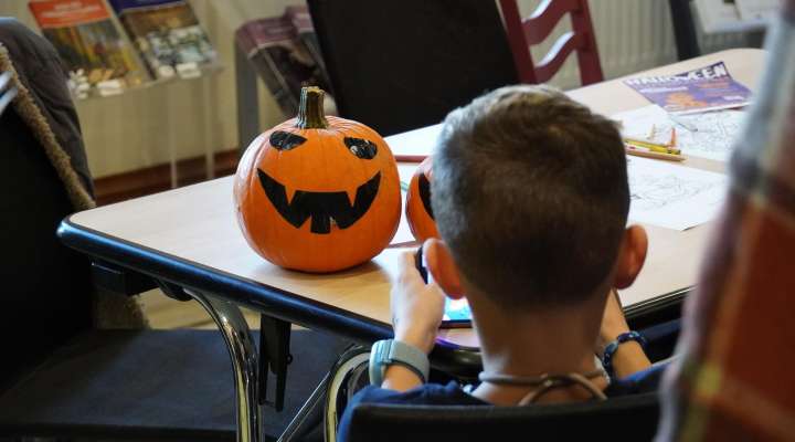 Concours de citrouilles
