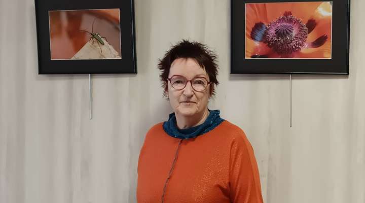 Exposition des photos