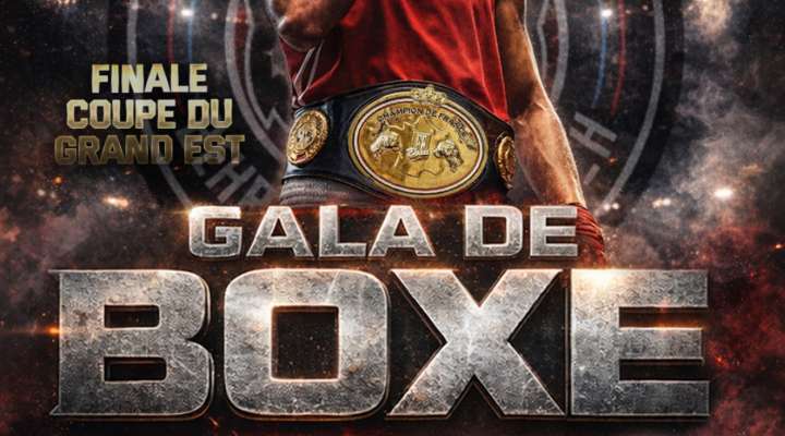 Gala de boxe - Round 5