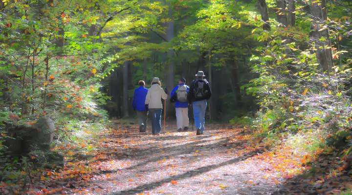 Marche pour l'association AIA