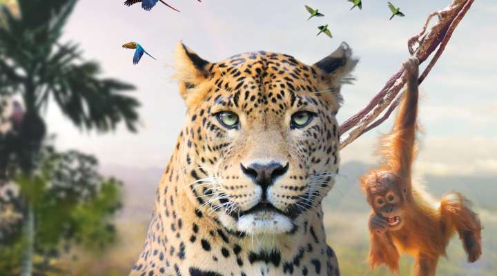 Zoo d'Amnéville