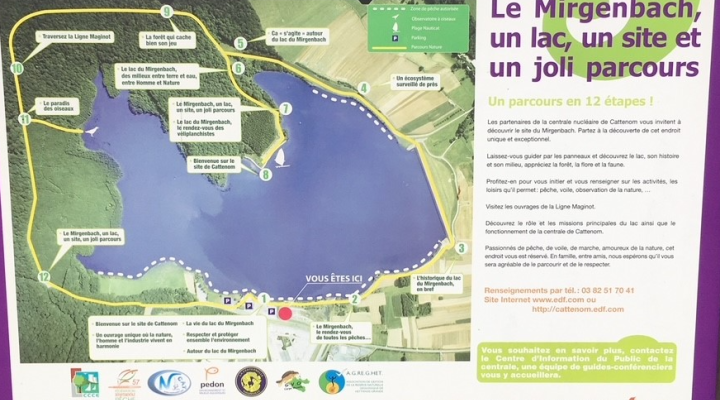 Circuit autour du Lac du Mirgenbach