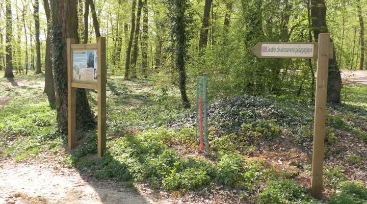 Circuit découverte Helsinger-Wald