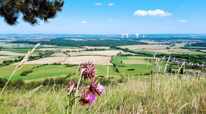 Point de vue du Hetschenberg