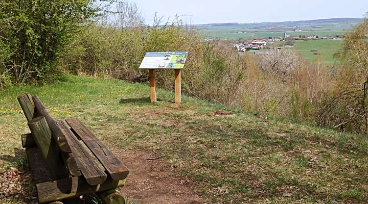 Sentier linéaire Jean-Marie Pelt