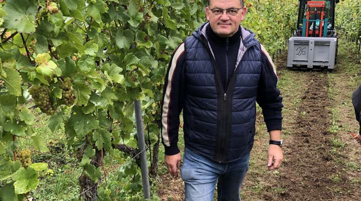 Domaine Sontag