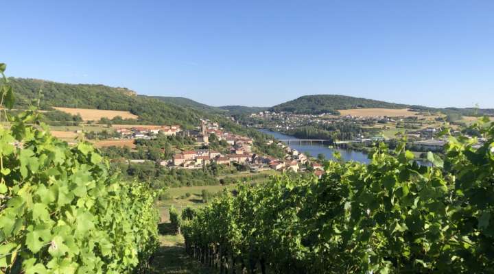 Domaine Sontag