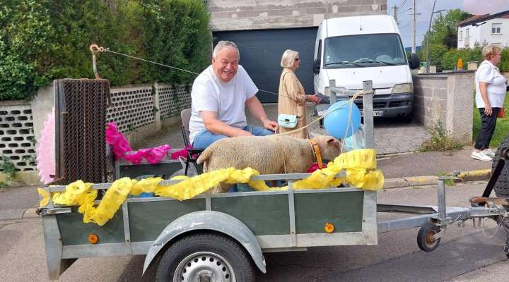 Marche du mouton