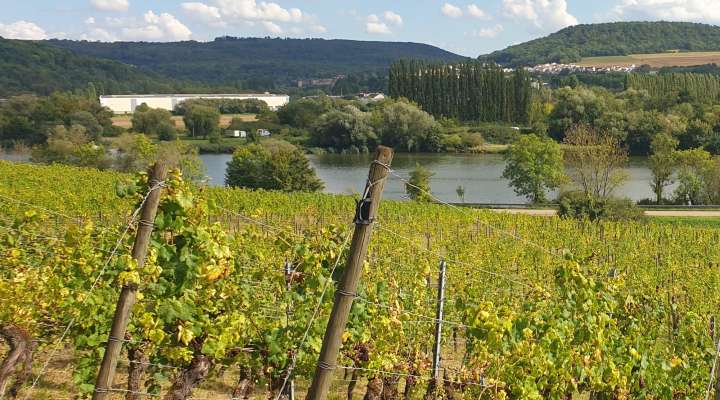 Parcours ludique - Bon Voyage Krebsy - Haute-Kontz