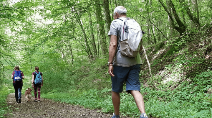 Marche nature