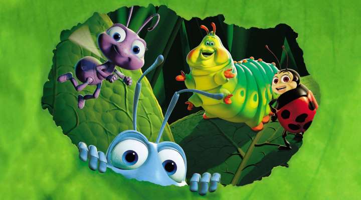 Ciné-nature 1001 pattes