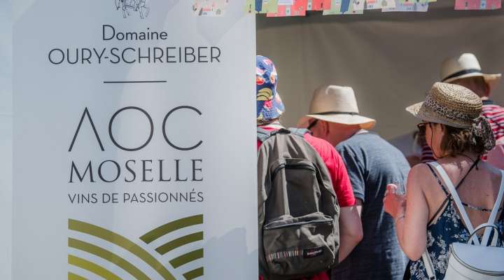 DOMAINE OURY SCHREIBER