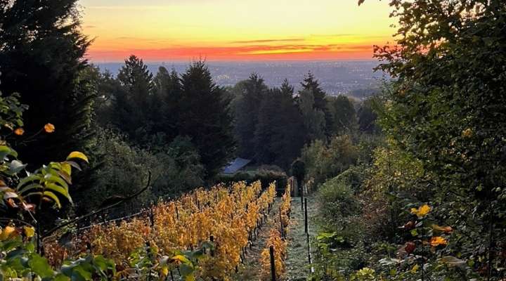 Les pelouses calcaires de la Taye aux Vaches