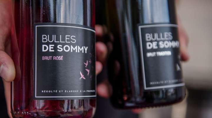 DOMAINE SOMMY