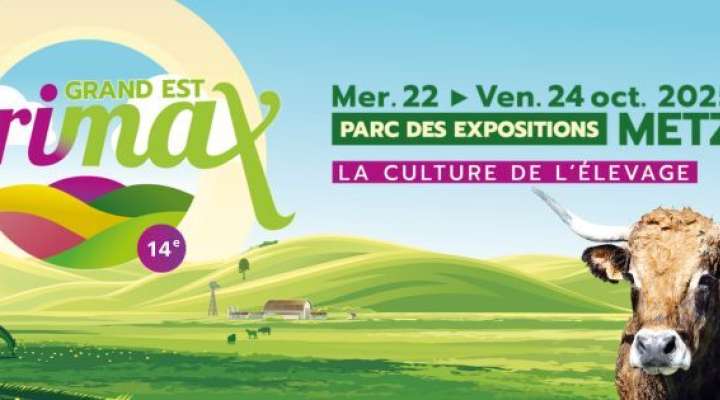 Salon - Agrimax