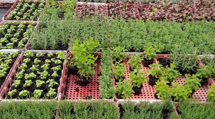 Les jardins du Val de Moselle