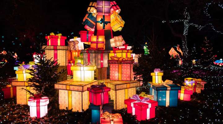 Évènement - Le Sentier des Lanternes du Département de la Moselle