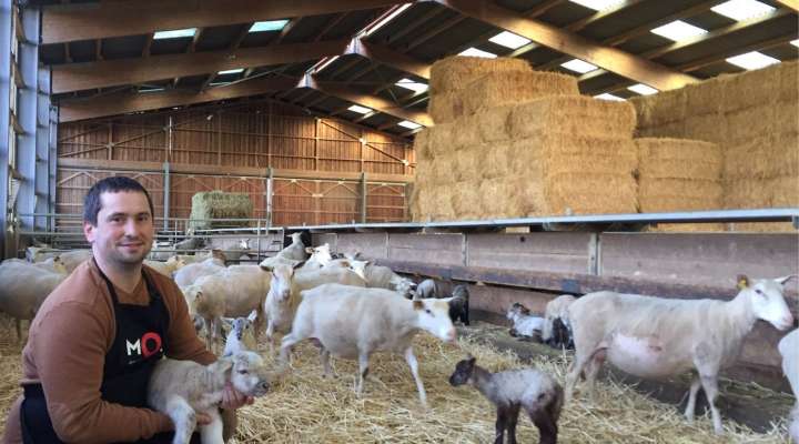 La ferme de l'étang