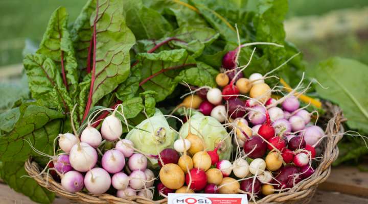 La ferme de Domangeville