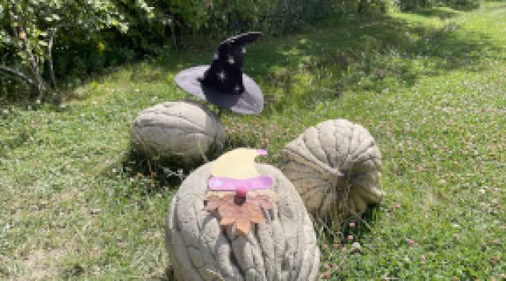 Atelier - lutin feuillu