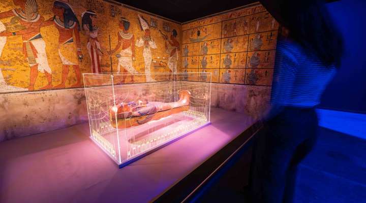Exposition - Toutankhamon