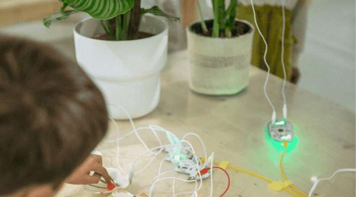 Stage jeune public - Orchestrer le vivant