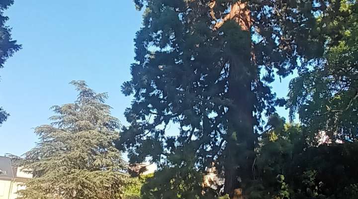 Sophro balade au Botanique