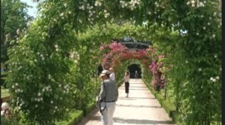 Sophro balade au Botanique