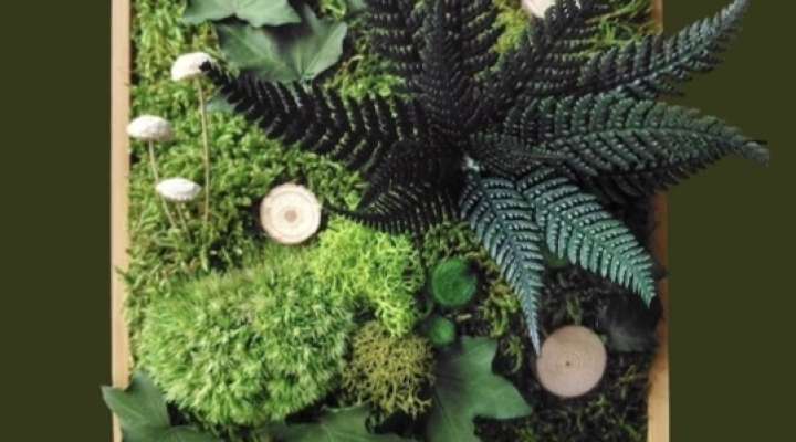 Atelier - Cadre végétal