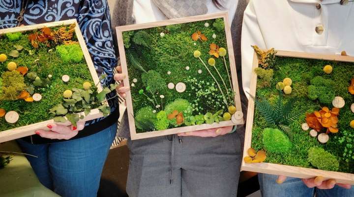 Atelier - Cadre végétal