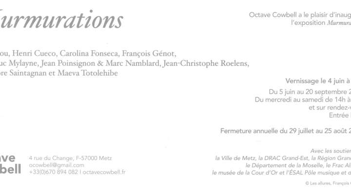 Exposition - Murmurations