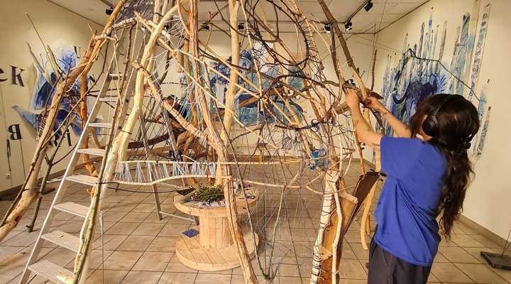 Exposition - Racines et refuges
