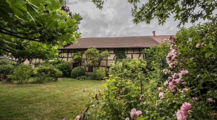 Visite guidée de la Maison Güth