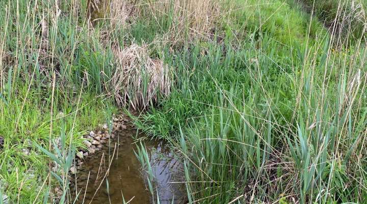 Un voyage conté au cœur du marais de Valette