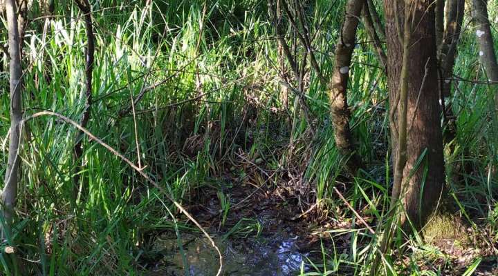 Un voyage conté au cœur du marais de Valette