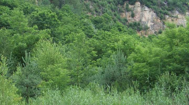 Randoland à la carrière barrois