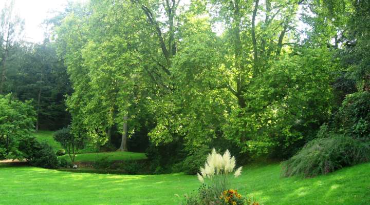 Parc du Château d'Hausen