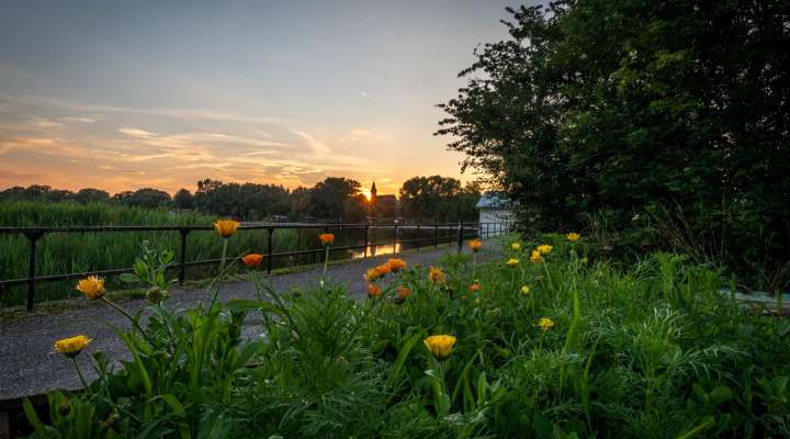 Balad'apéro sauvage