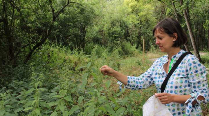 Balad'apéro sauvage