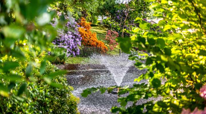 Visite historique et sensible du parc du château d’Hausen