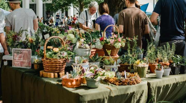 Fête des plantes, du terroir et de l'artisanat