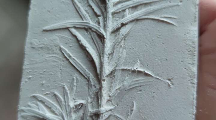 Atelier créatif nature - empreintes en argile