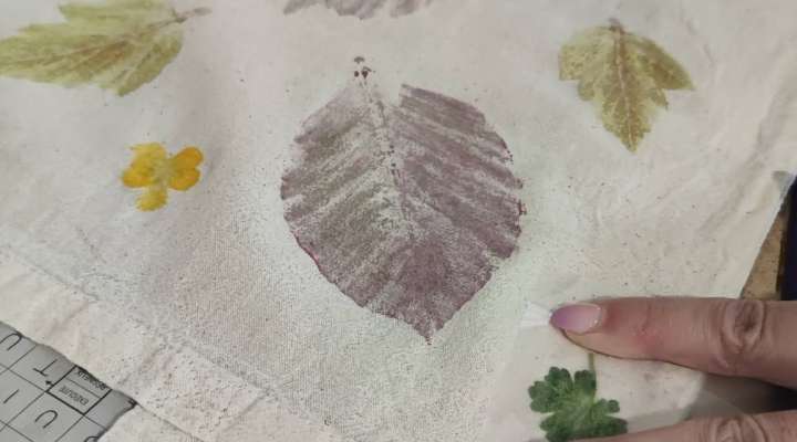 Atelier empreintes sauvages - tataki-zomé