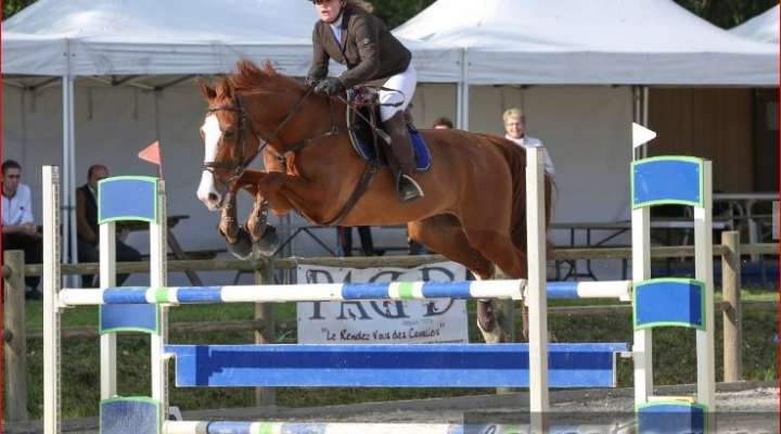 Centre équestre de Thionville et Cattenom