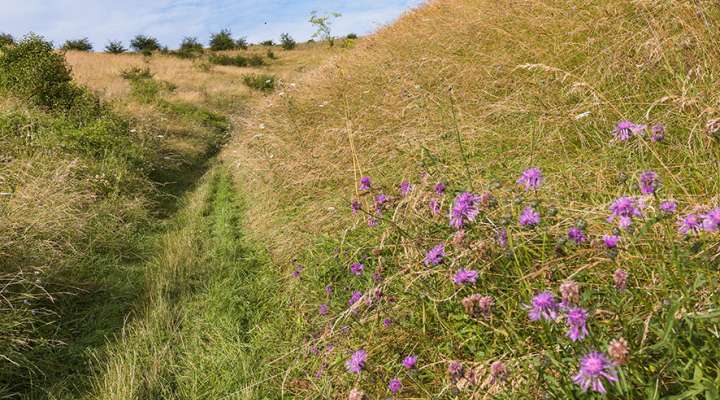 Circuit des 3 collines