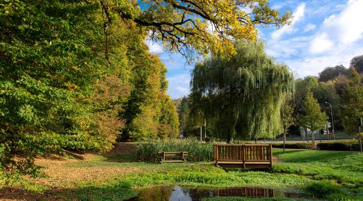 Domaine de Sainte-Neige